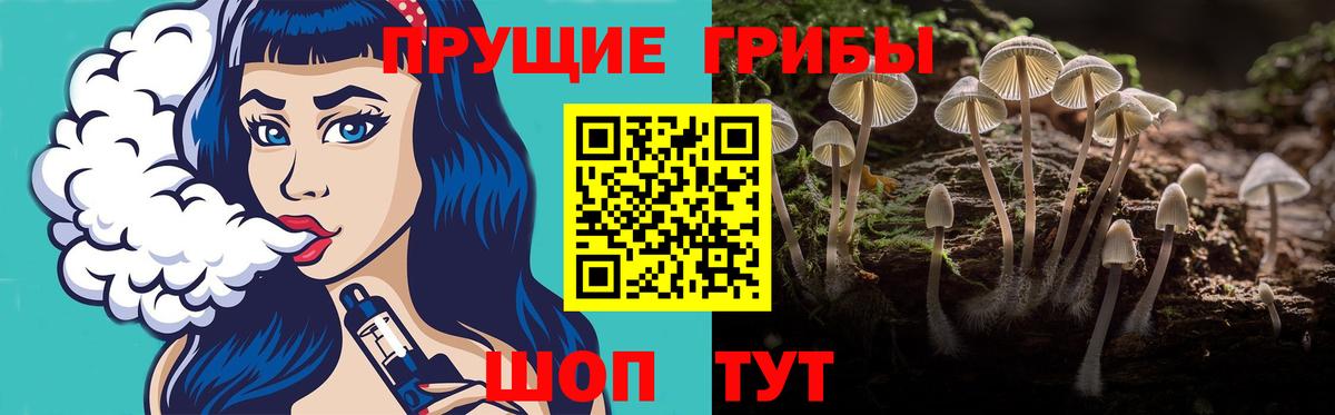 Галлюциногенные грибы ЛСД Арзамас